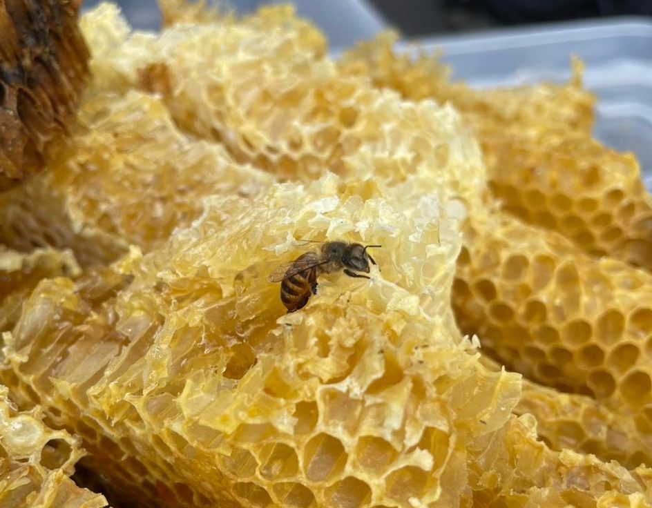 ce9a3269585574a6f061d1f95cf341